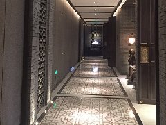&#28216;&#33351;&#20250;&#40;&#20013;&#25991;&#41;&#23448;&#26041;&#32593;&#31449;