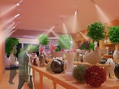 &#28216;&#33351;&#20250;&#40;&#20013;&#25991;&#41;&#23448;&#26041;&#32593;&#31449;